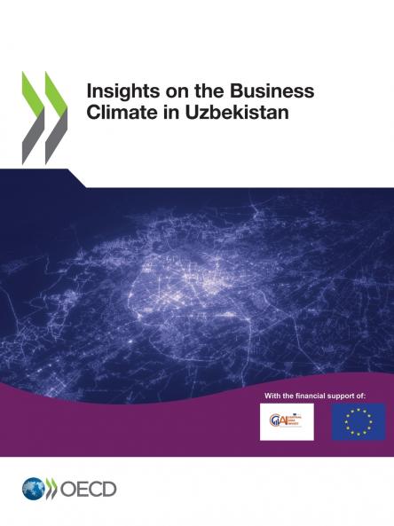 Insights on the Business Climate in Uzbekistan