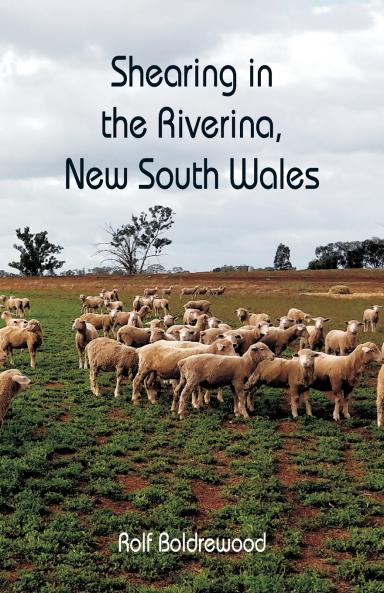Shearing in the Riverina New South Wales