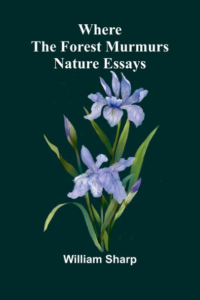 Where the forest murmurs