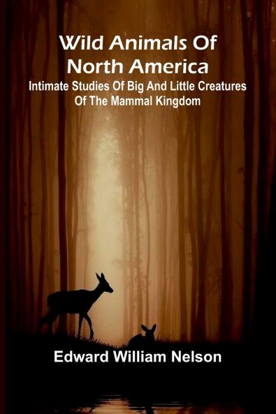 Wild Animals of North America Intimate Studies of Big and Little Creatures of the Mammal Kingdom
