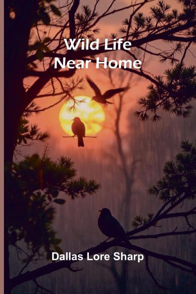 Wild Life Near Home