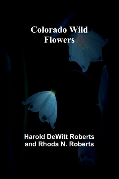 Colorado Wild Flowers