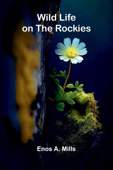 Wild Life on the Rockies