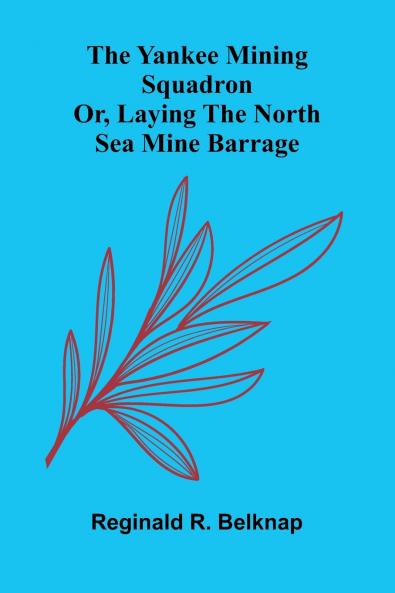 The Yankee mining squadron