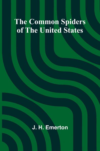 The Common Spiders Of The United States