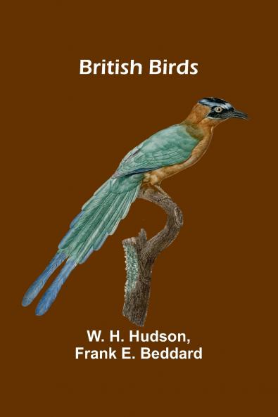 British Birds