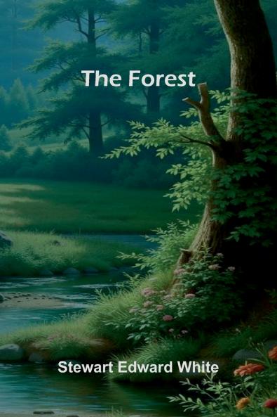 The Forest