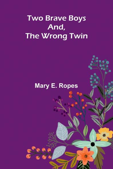 Two Brave Boys And The Wrong Twin