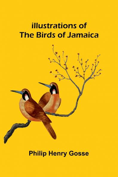 Illustrations Of The Birds Of Jamaica