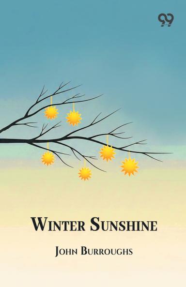 Winter Sunshine