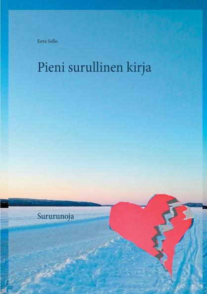 Pieni surullinen kirja