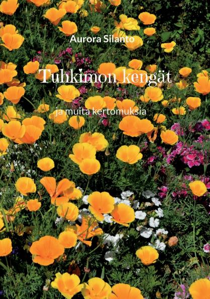 Tuhkimon kengät