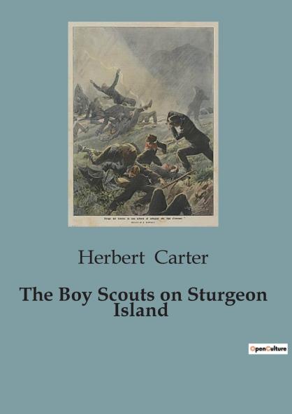 The Boy Scouts on Sturgeon Island