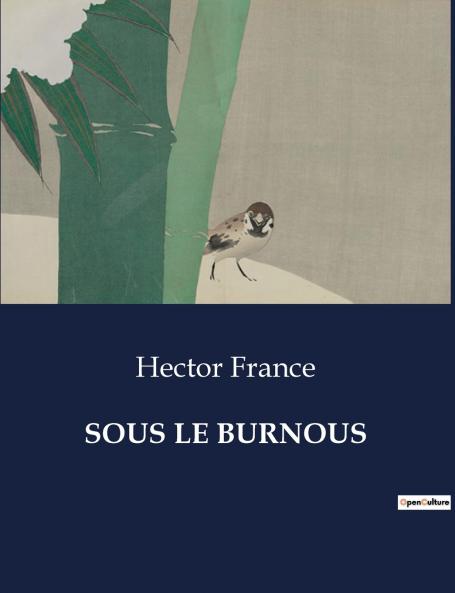 SOUS LE BURNOUS