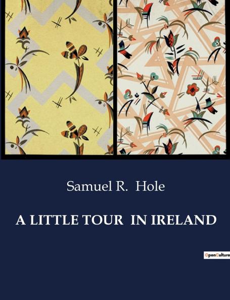 A LITTLE TOUR  IN IRELAND