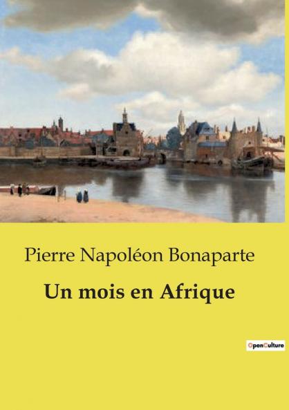 Un mois en Afrique