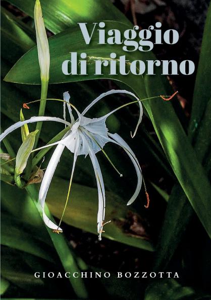 Viaggio di ritorno