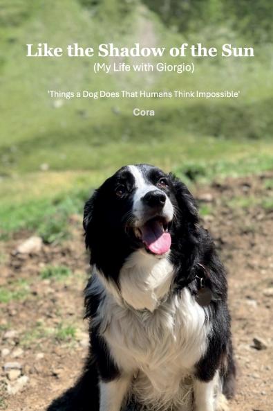 Like the Shadow of the Sun (My Life with Giorgio)