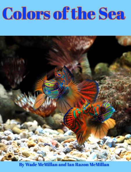 Colors of the Sea