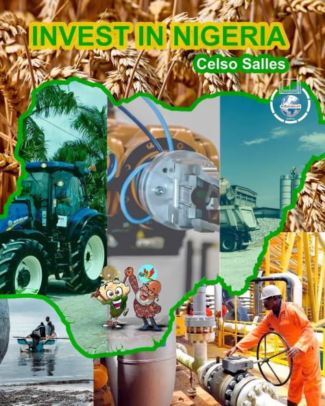 INVEST IN NIGERIA - Celso Salles