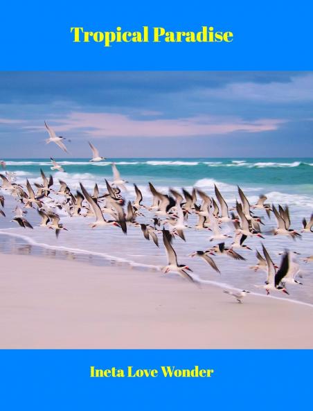 Tropical Paradise