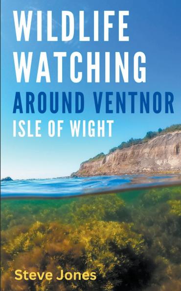 Wildlife Watching Around Ventnor Isle of Wight