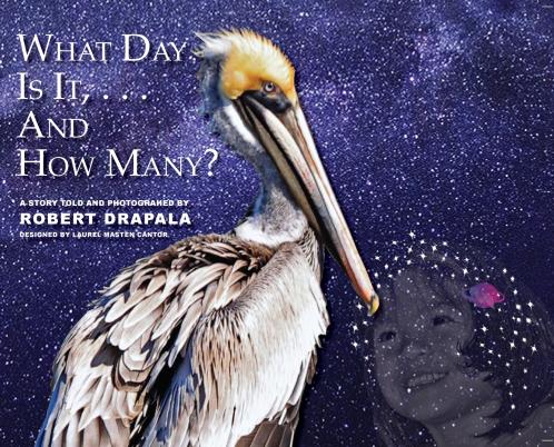 What  Day Is It and How Many?