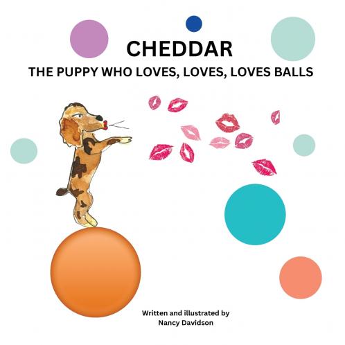 CHEDDAR THE PUPPY WHO LOVES LOVES LOVES BALLS