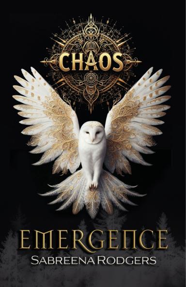 Chaos Emergence