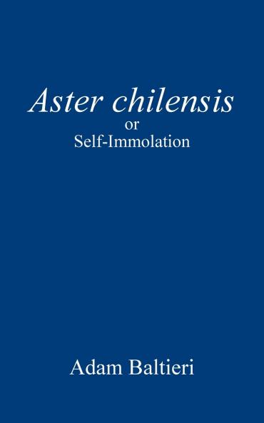 Aster chilensis