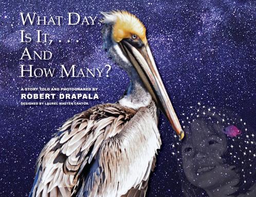 What  Day Is It and How Many?