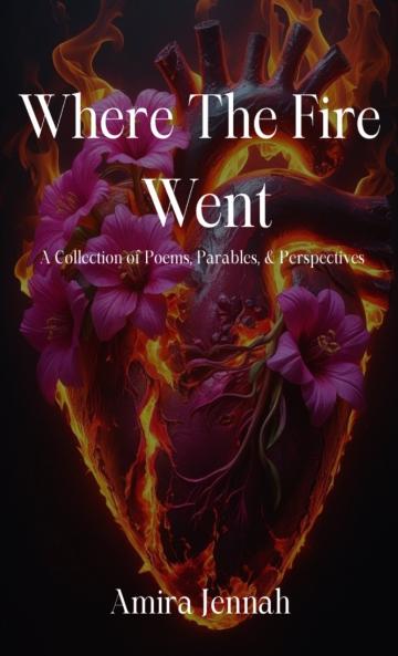Where The Fire Went