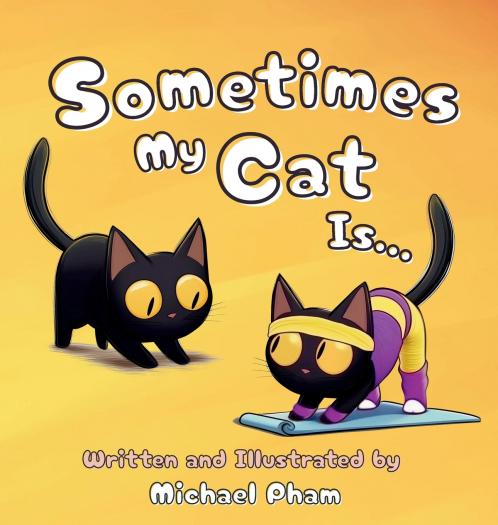 Sometimes My Cat Is...
