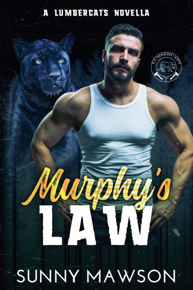 Murphy's Law