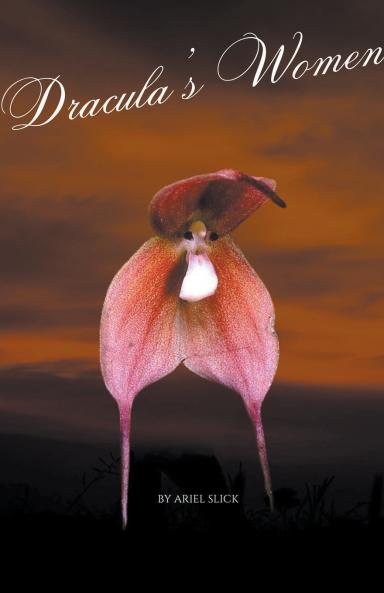 Dracula's Women