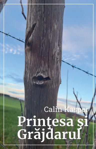 Prin?esa ?i Gr?jdarul