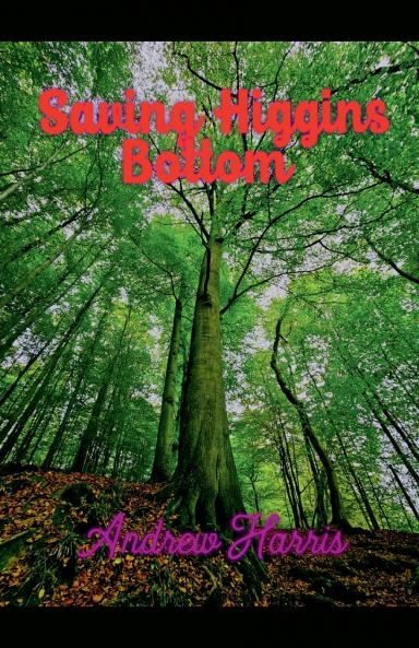 Saving Higgins Bottom