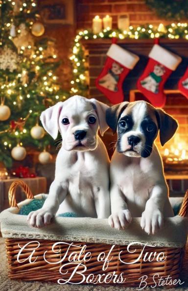 A Tale of Two Boxers