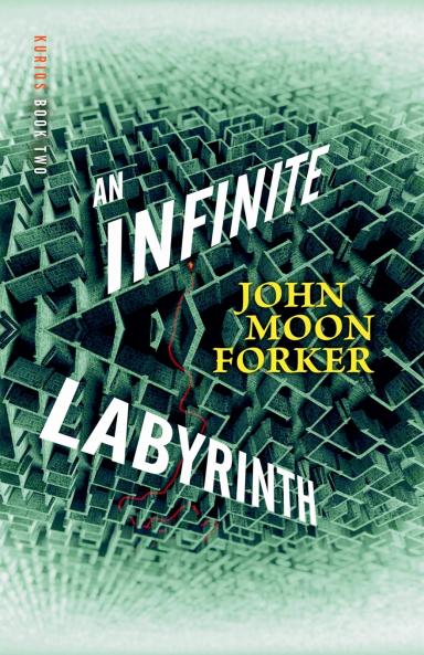 An Infinite Labyrith
