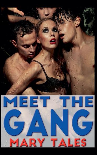 Meet The Gang