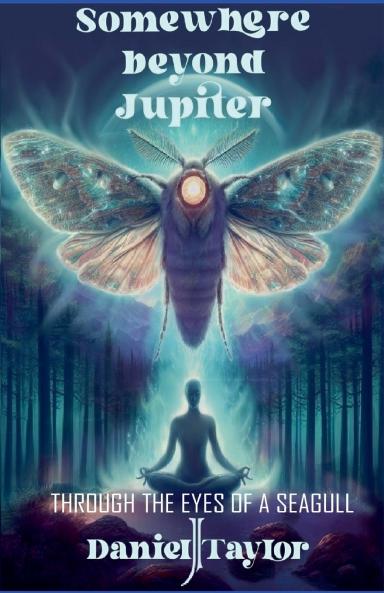 Somewhere Beyond Jupiter - Through the Eyes of a Seagull