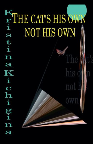 The cat's his own not his own