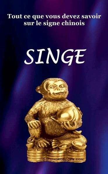 Tout ce que vous devez savoir sur le signe chinois Singe.