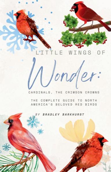 Little Wings of Wonder