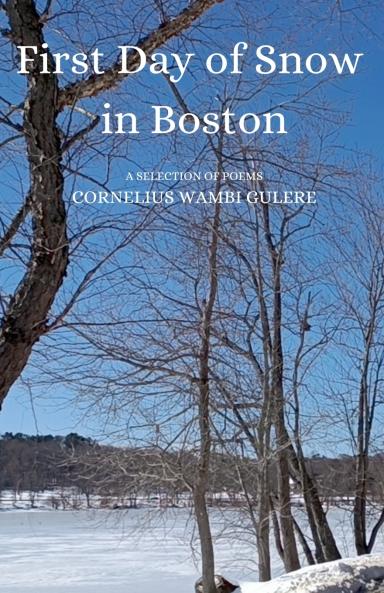 First Day of Snow in Boston