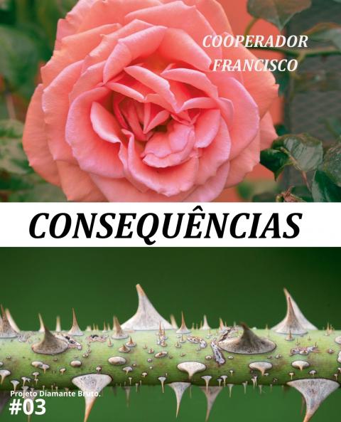 Consequências