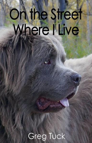 On the Street Where I Live