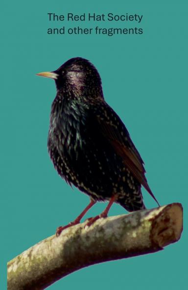 The Red Hat Society and other fragments