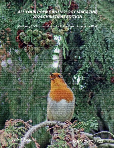 All Your Poems Anthology Christmas 2025