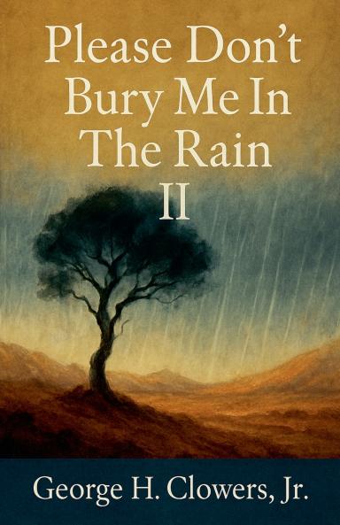 Please Don't Bury Me in the Rain II